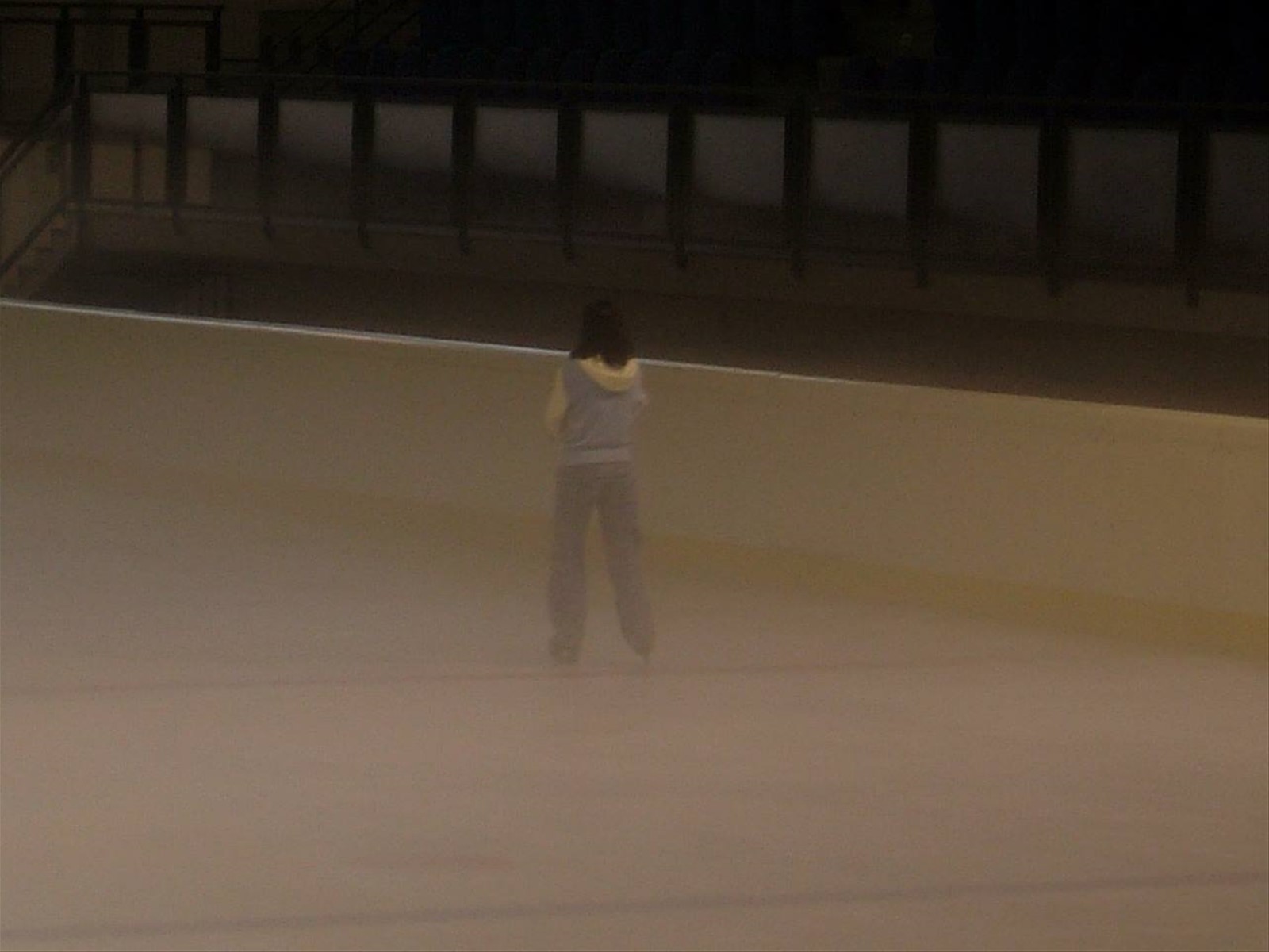 Pista di pattinaggio su ghiaccio