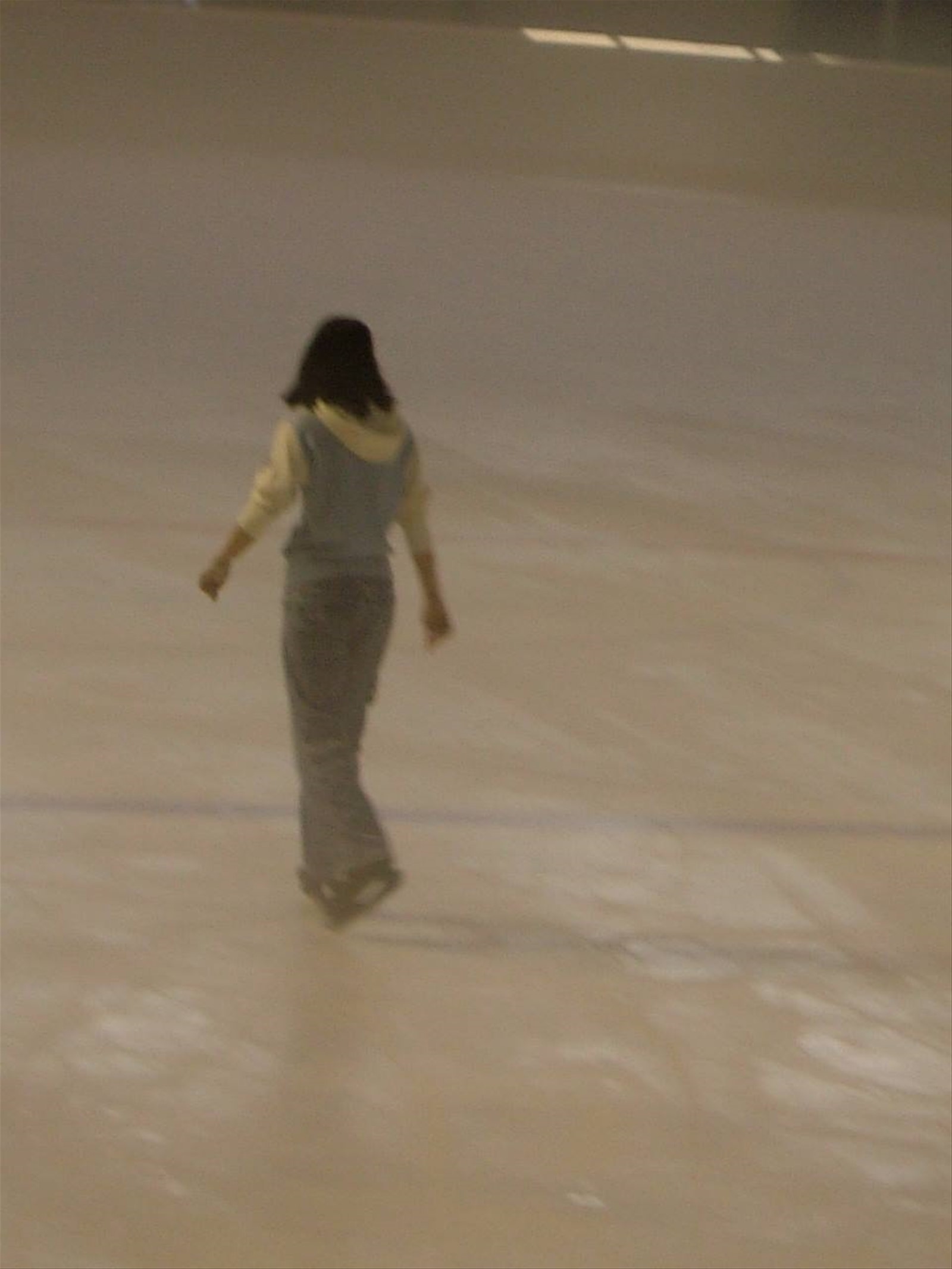 Pista di pattinaggio su ghiaccio