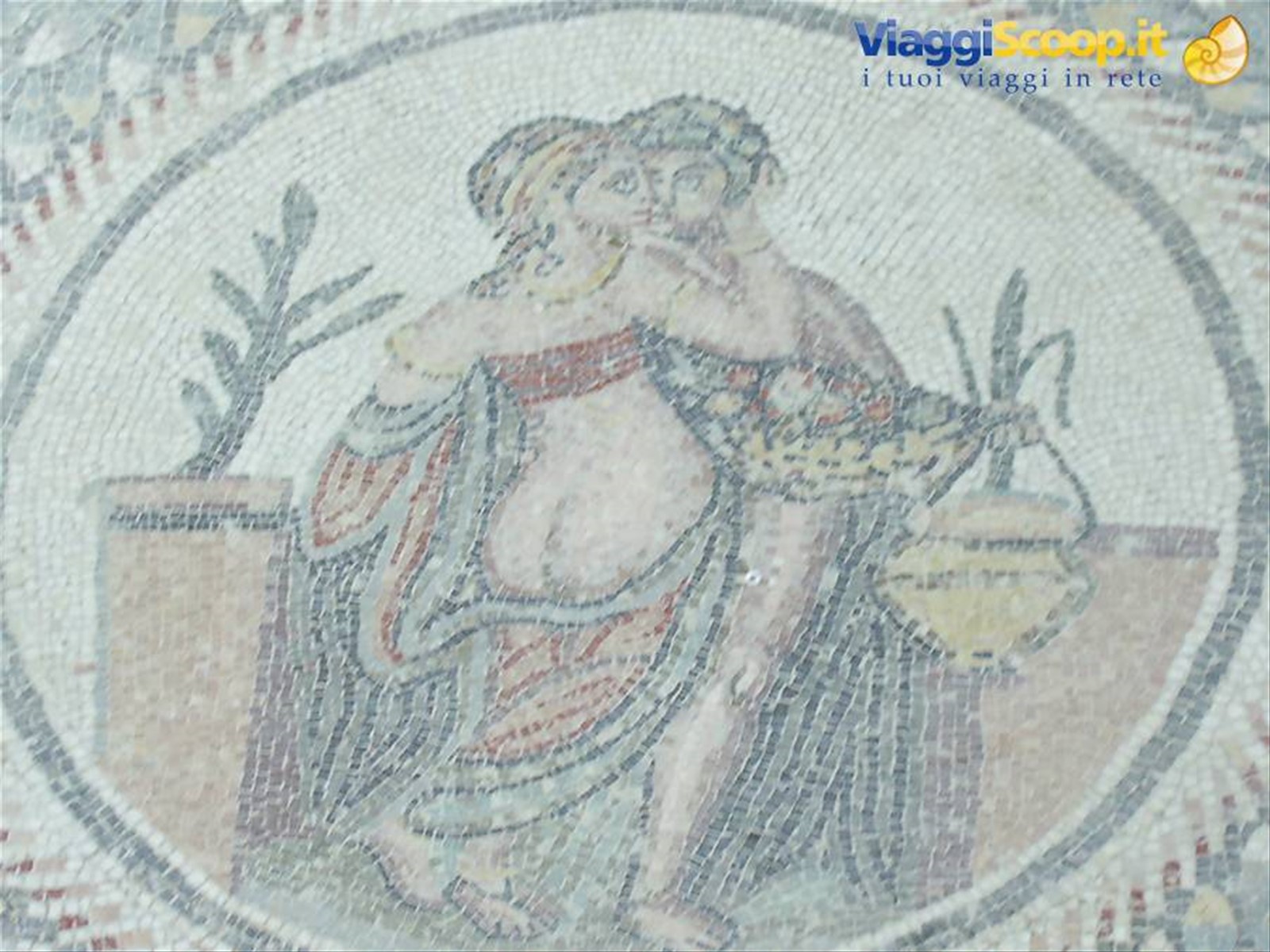 i mosaici