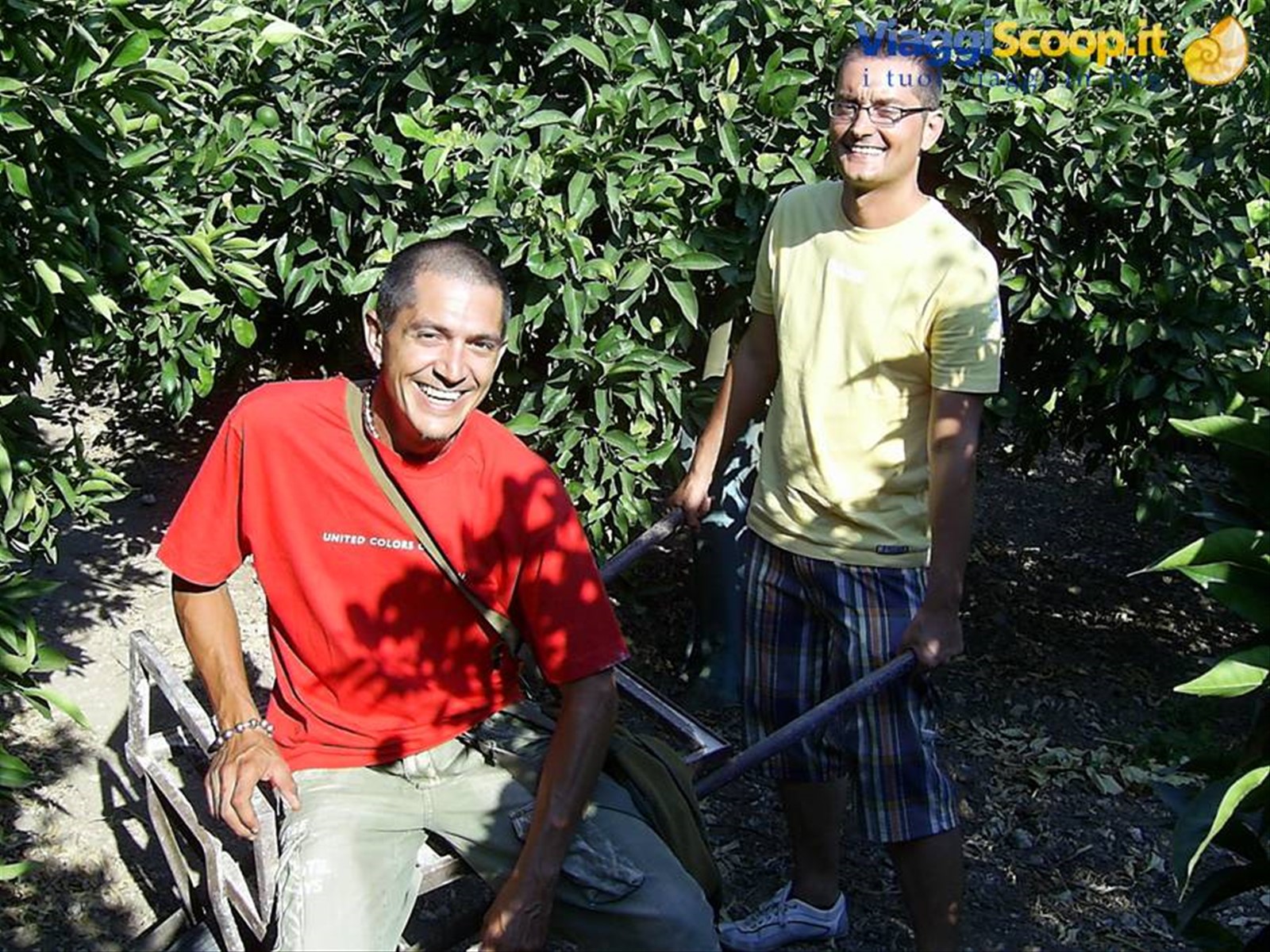 nel frutteto di giovanni