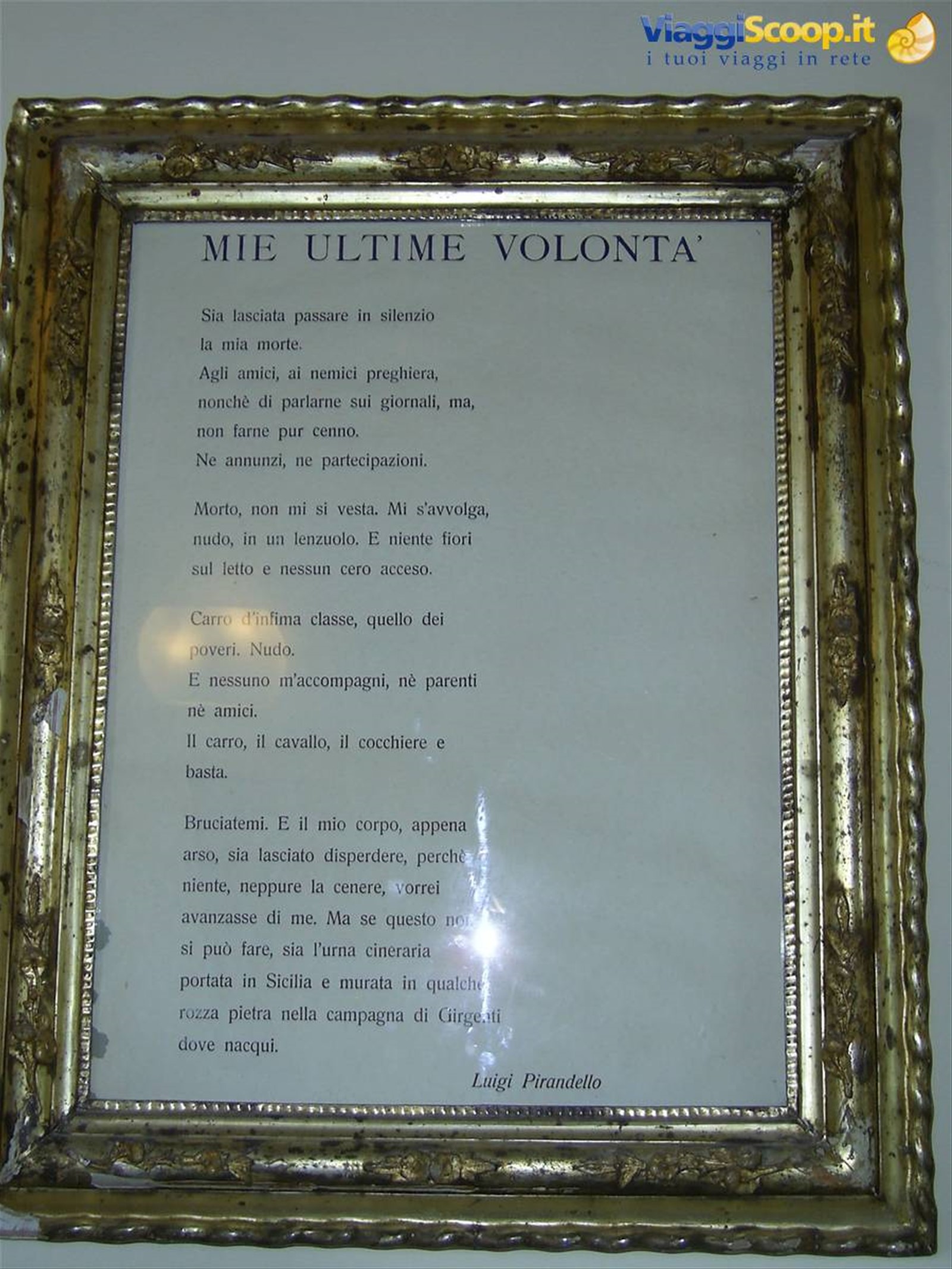 le sue volontà