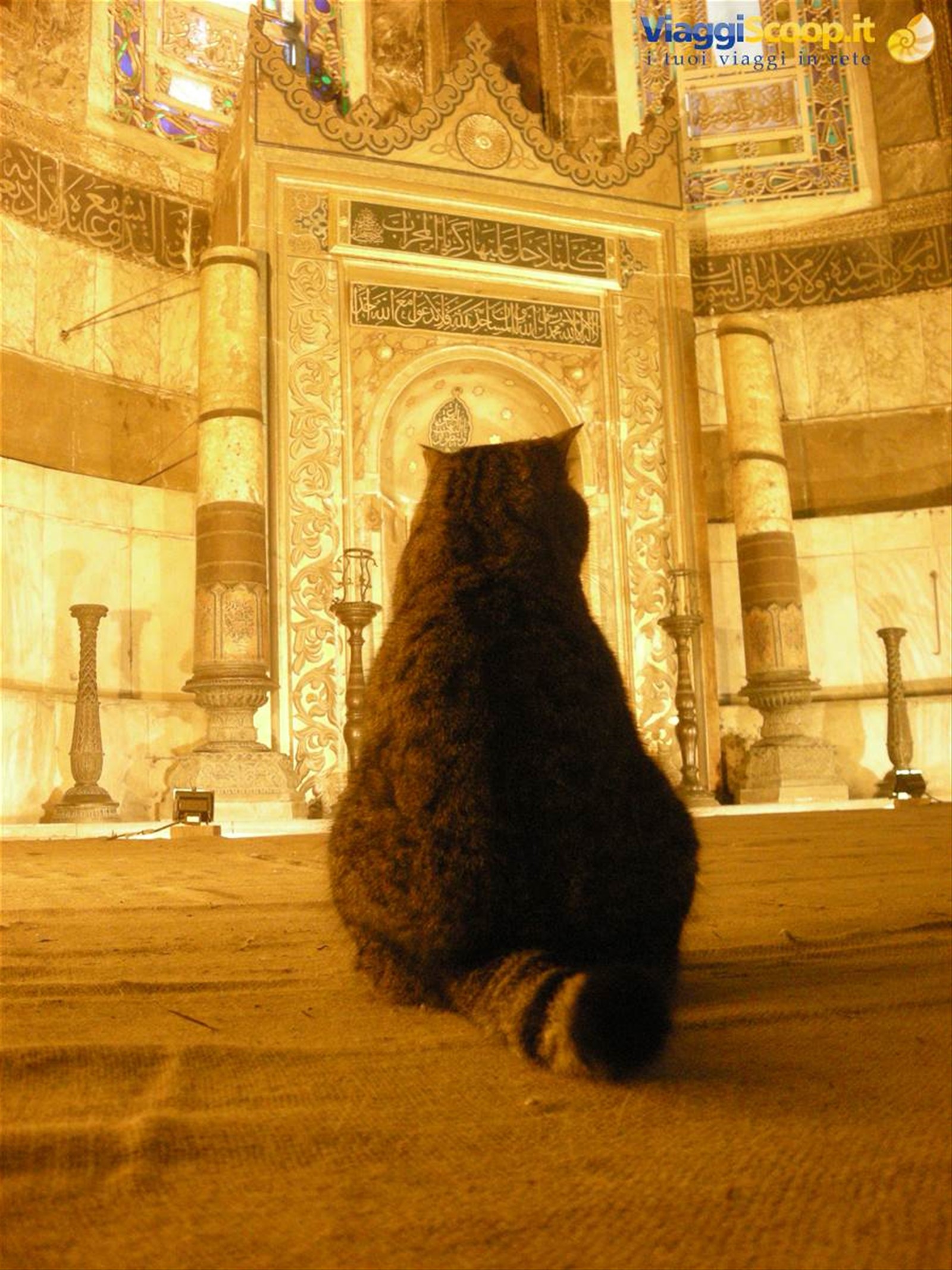 Foto di viaggio in TURCHIA