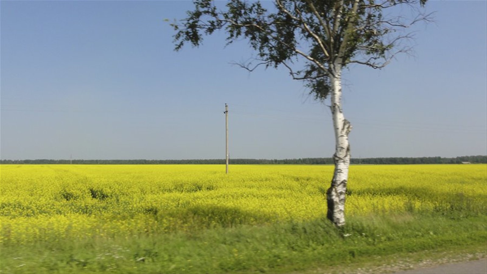 Foto di viaggio in LITUANIA