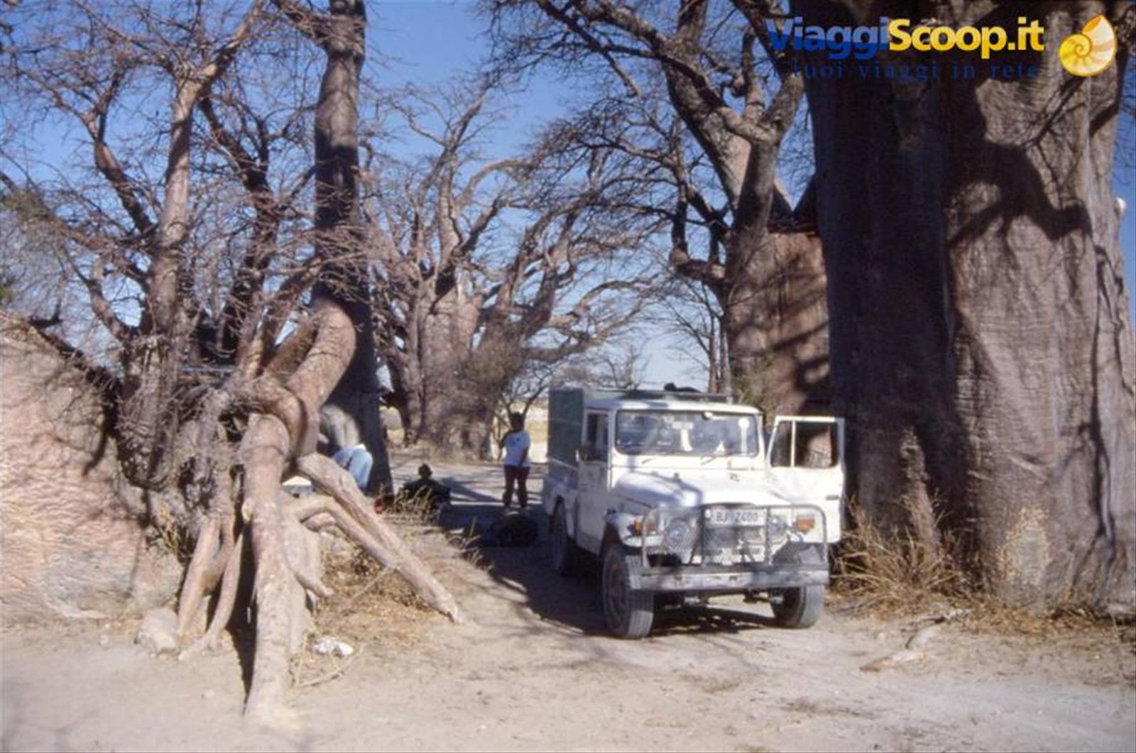 BAOBAB