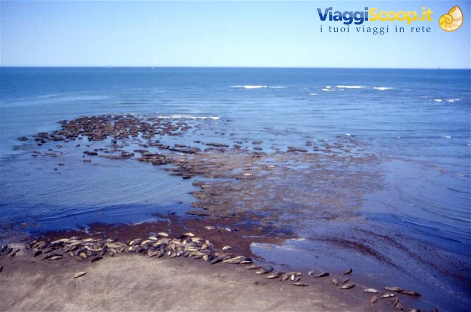 PENISOLA DI VALDES - ELEFANTERIA