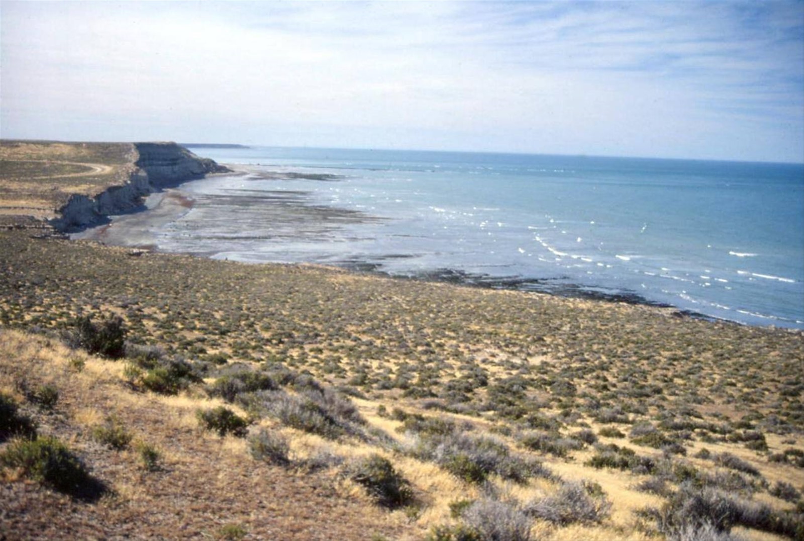 PENISOLA DI VALDES