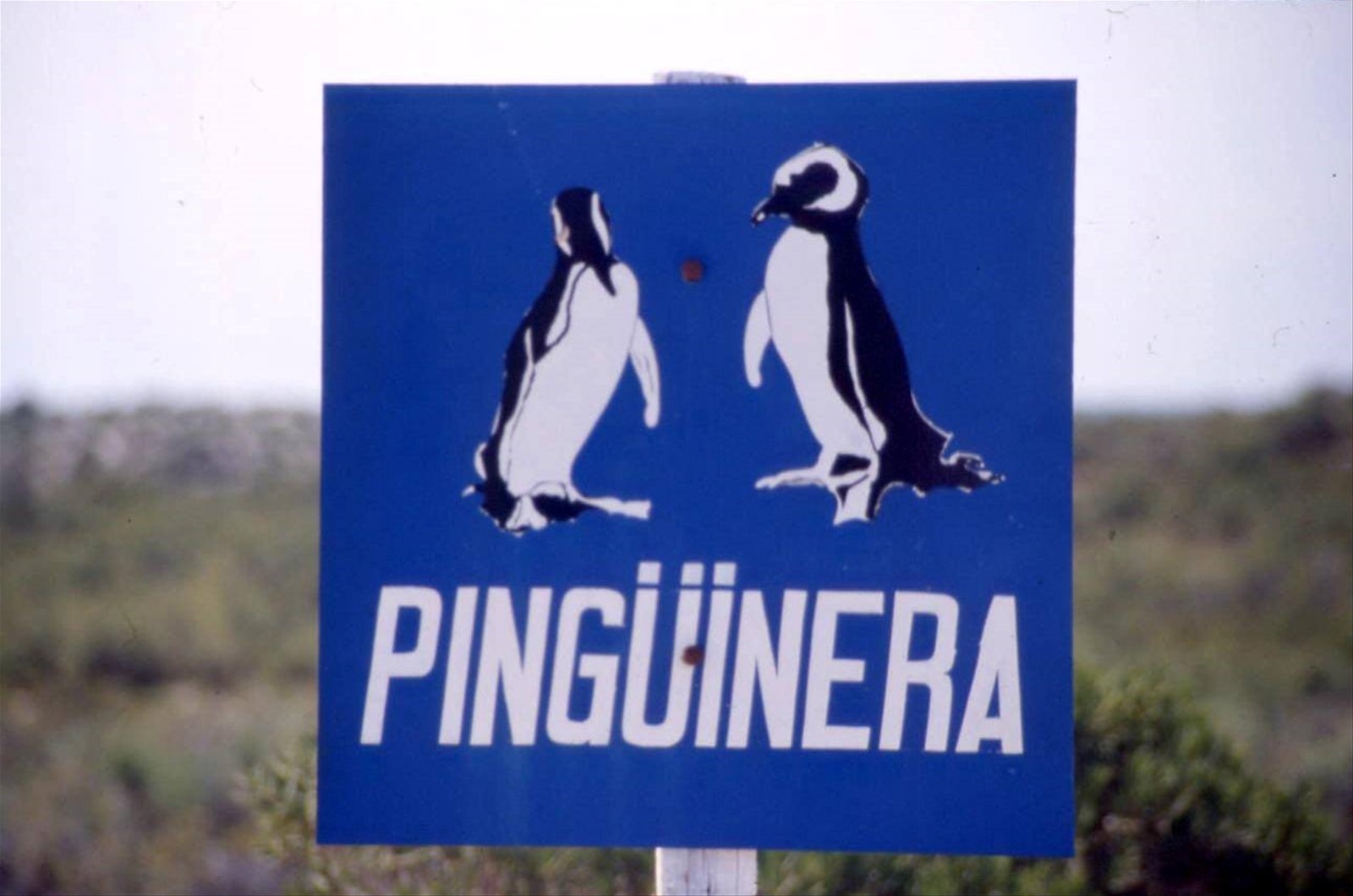 PUNTA TOMBO