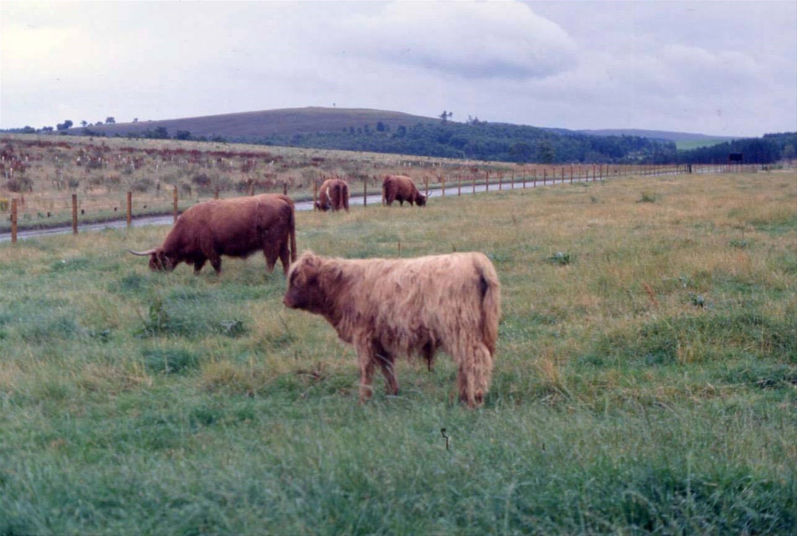 VERSO ABERDEEN