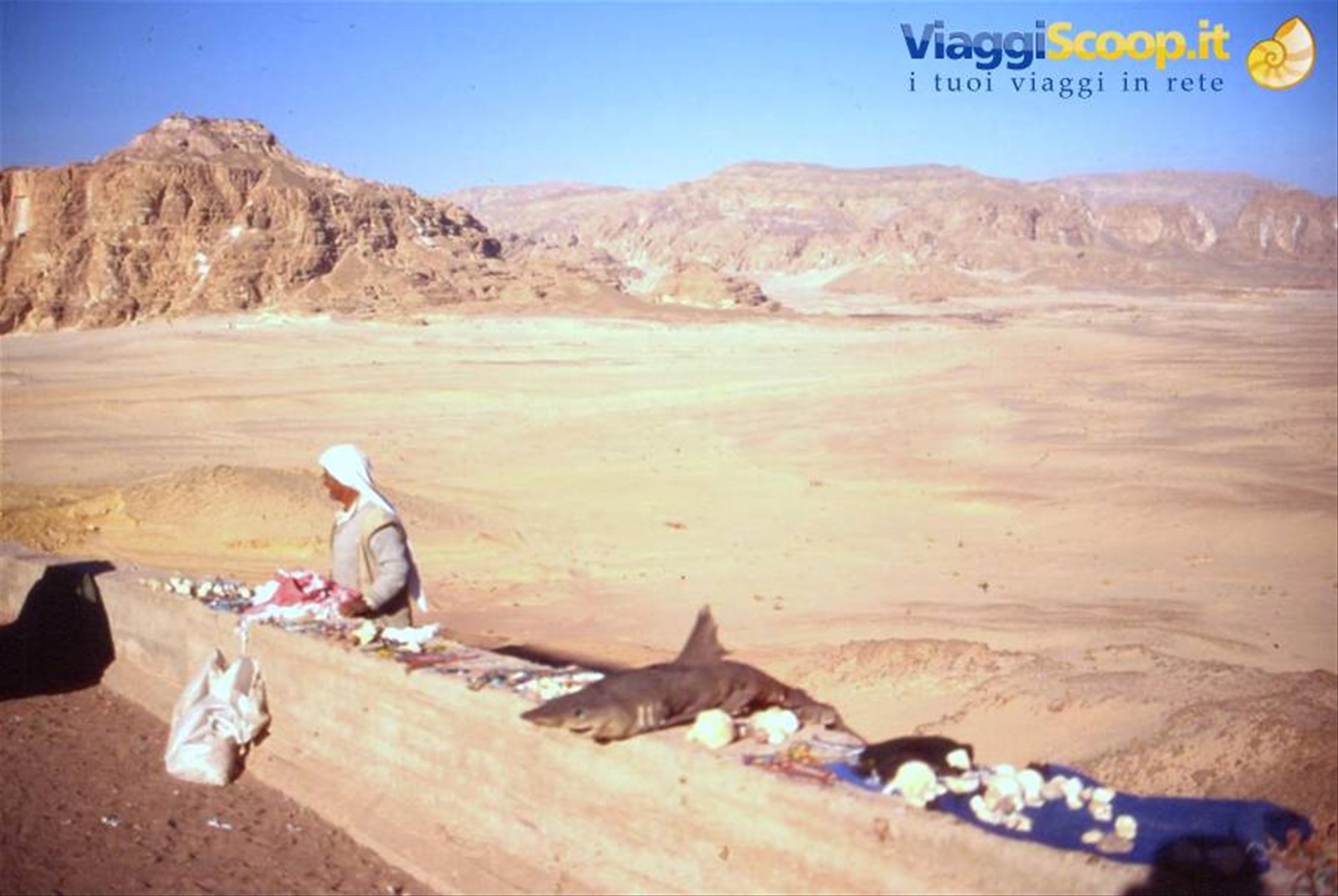 SINAI - VALLE DEI CERBIATTI