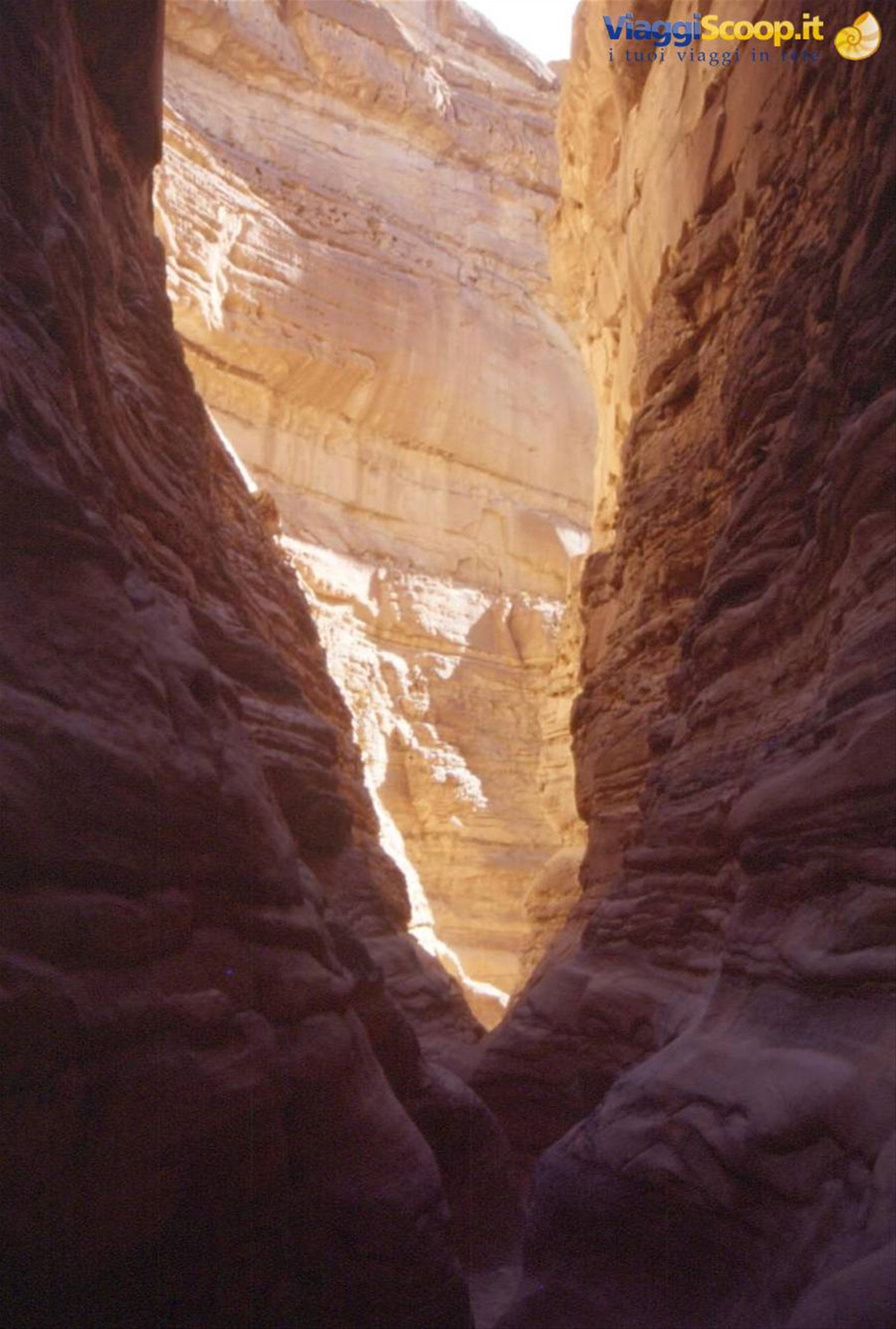 CANYON COLORATO