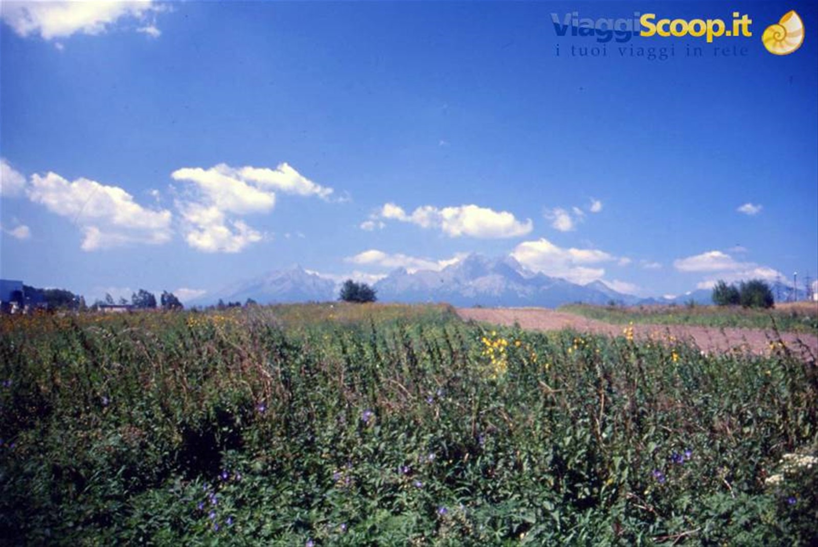 ZDIAN - I MONTI TATRA