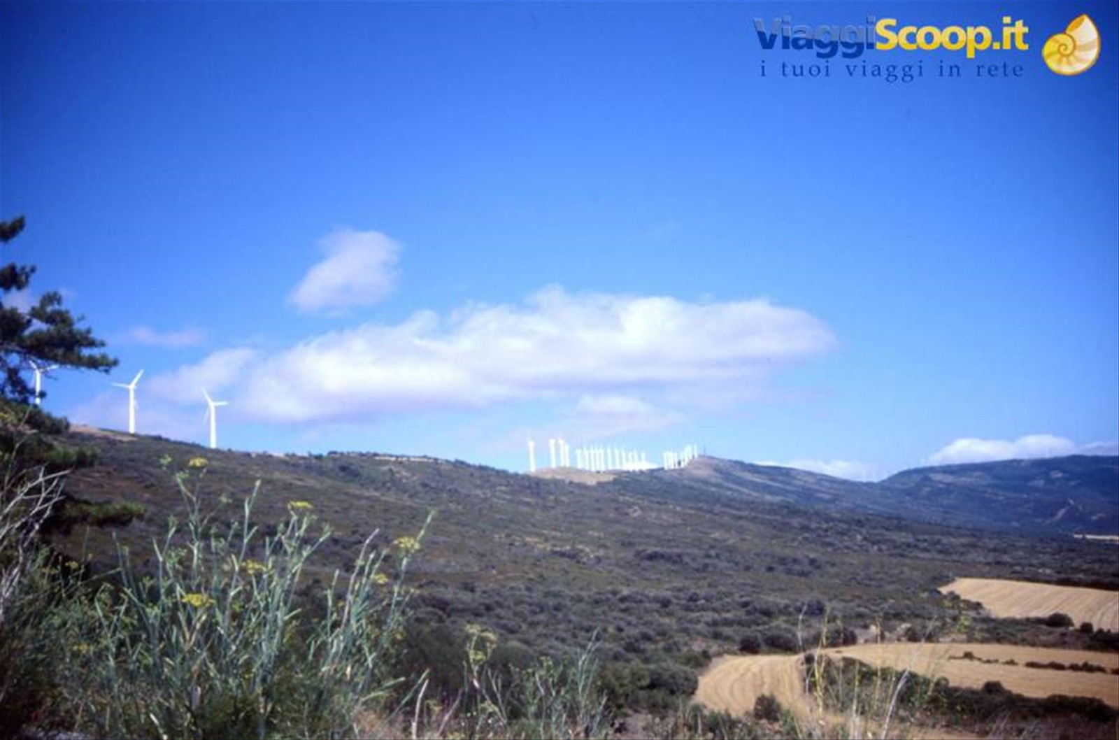 COLLINE DEL PERDON