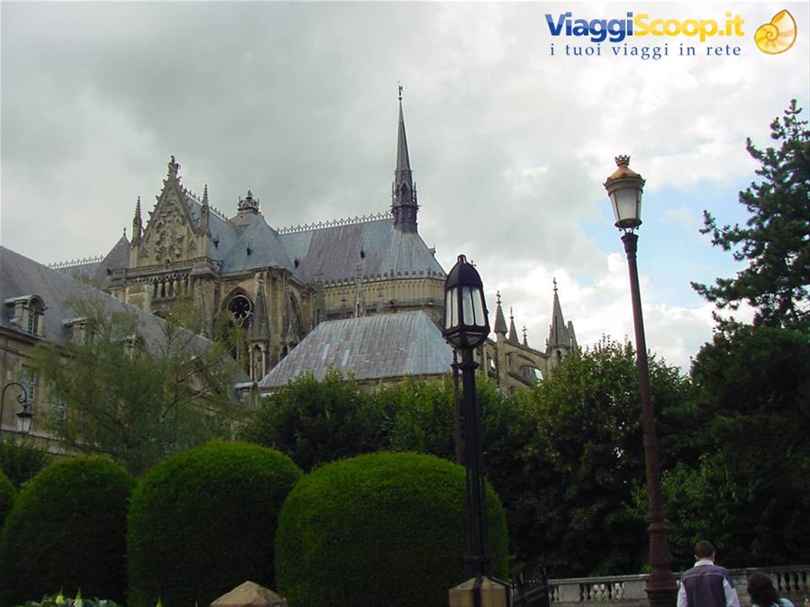 REIMS
