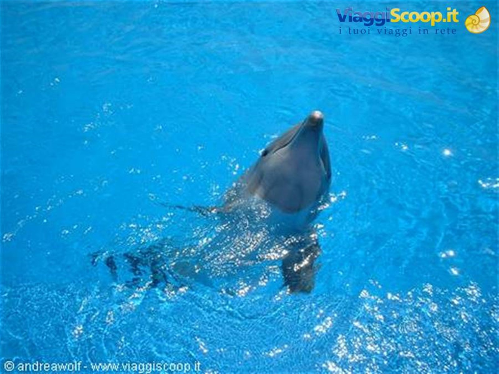 Acquapark