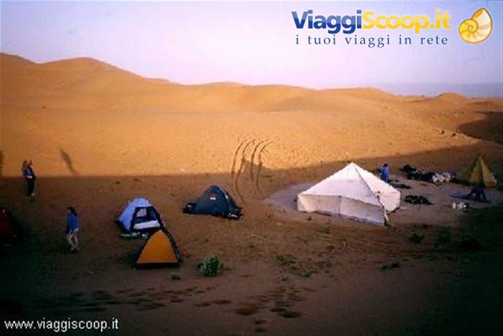 Un campo tra le dune