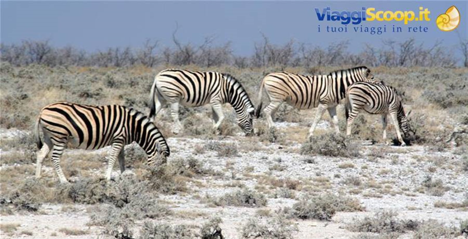 Foto di viaggio in NAMIBIA