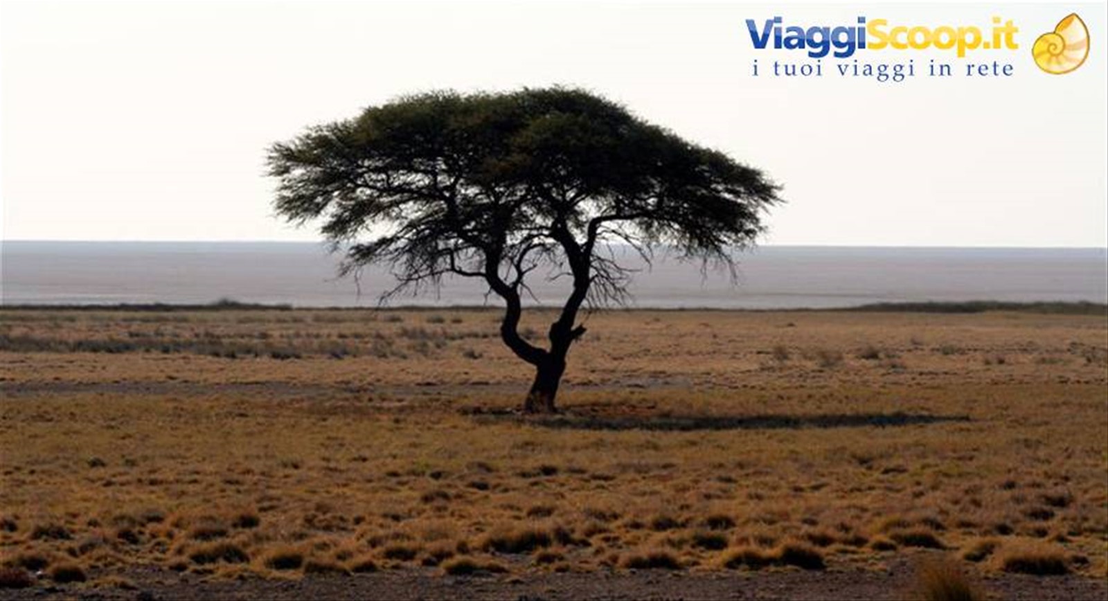 Foto di viaggio in NAMIBIA
