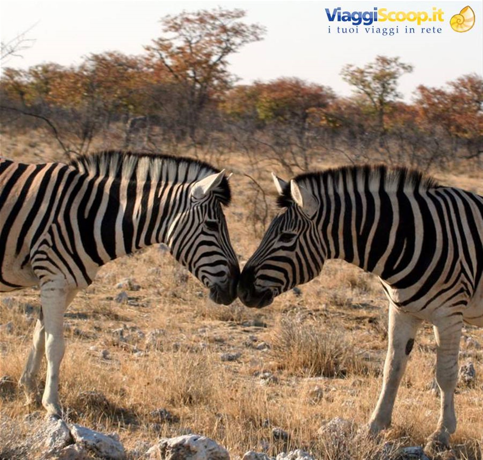 Foto di viaggio in NAMIBIA