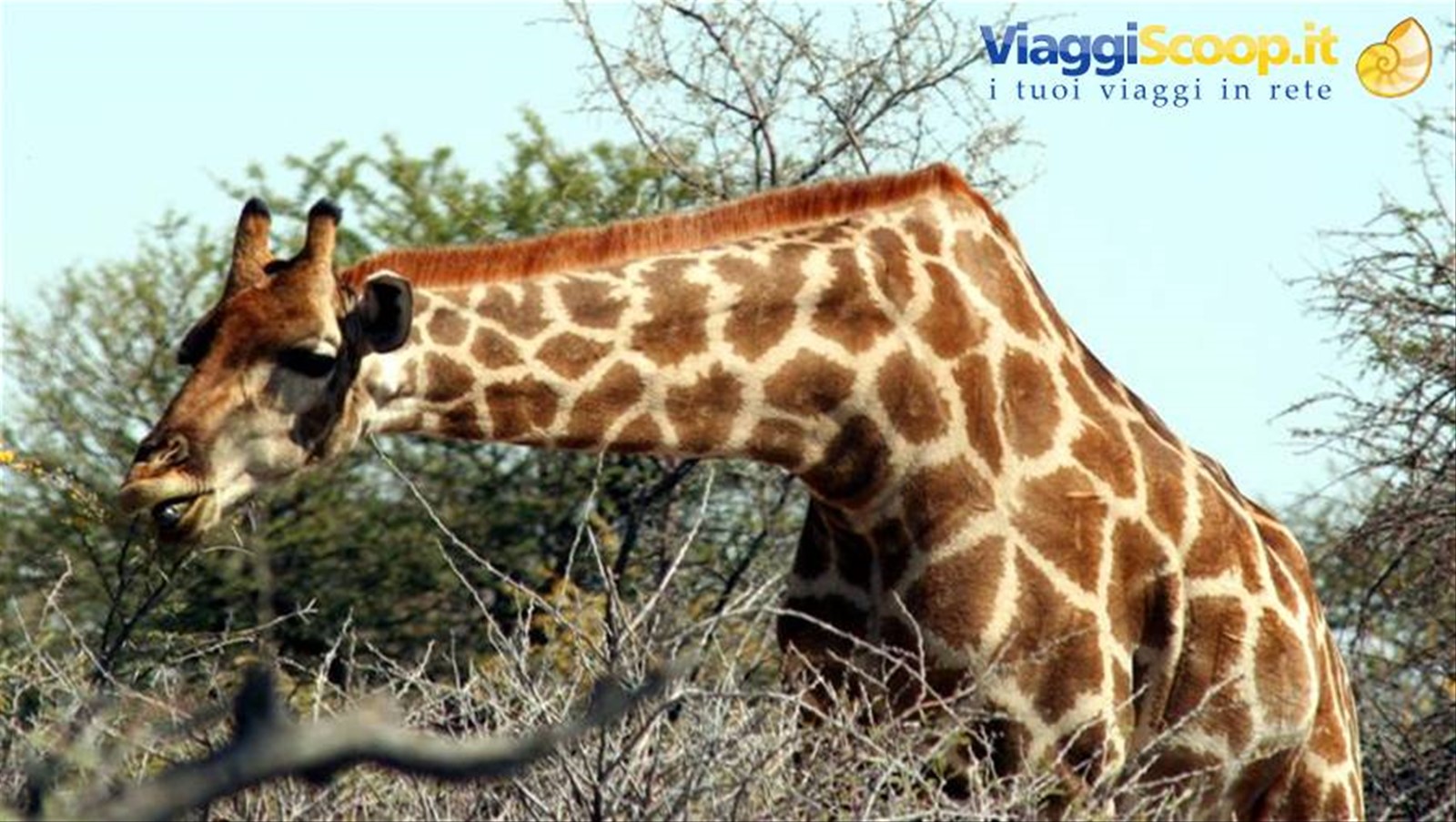 Foto di viaggio in NAMIBIA