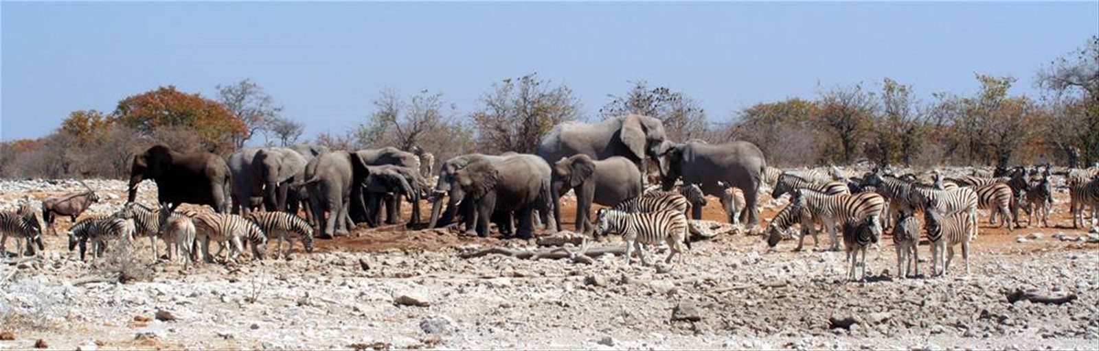Foto di viaggio in NAMIBIA