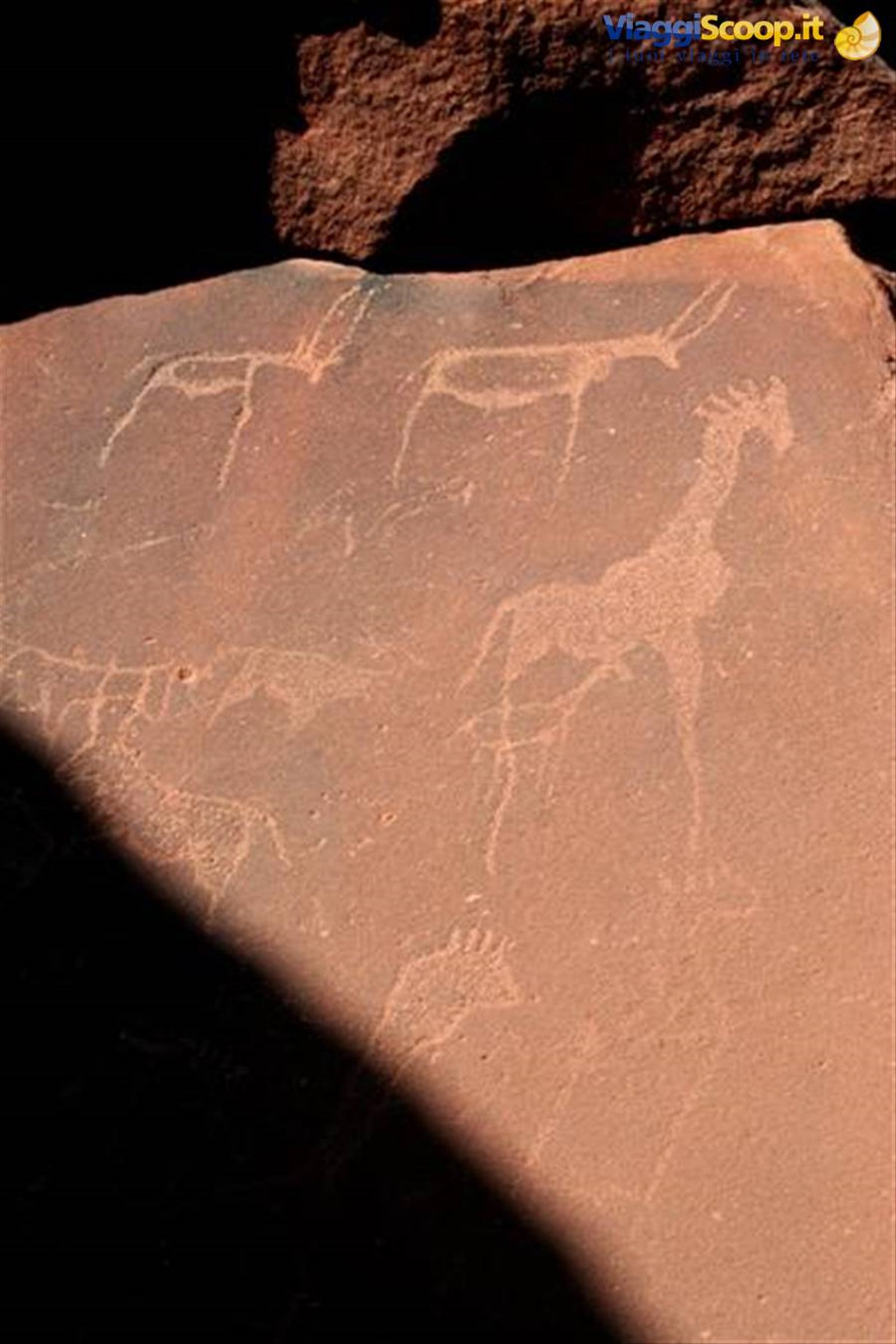 Foto di viaggio in NAMIBIA
