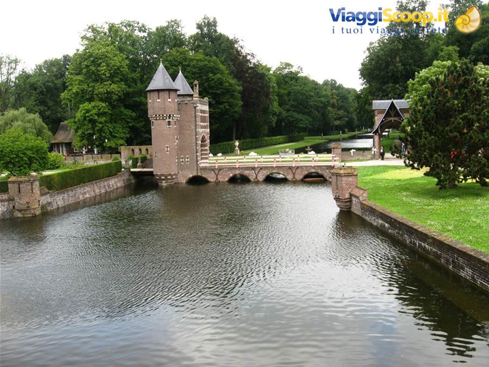 Haar