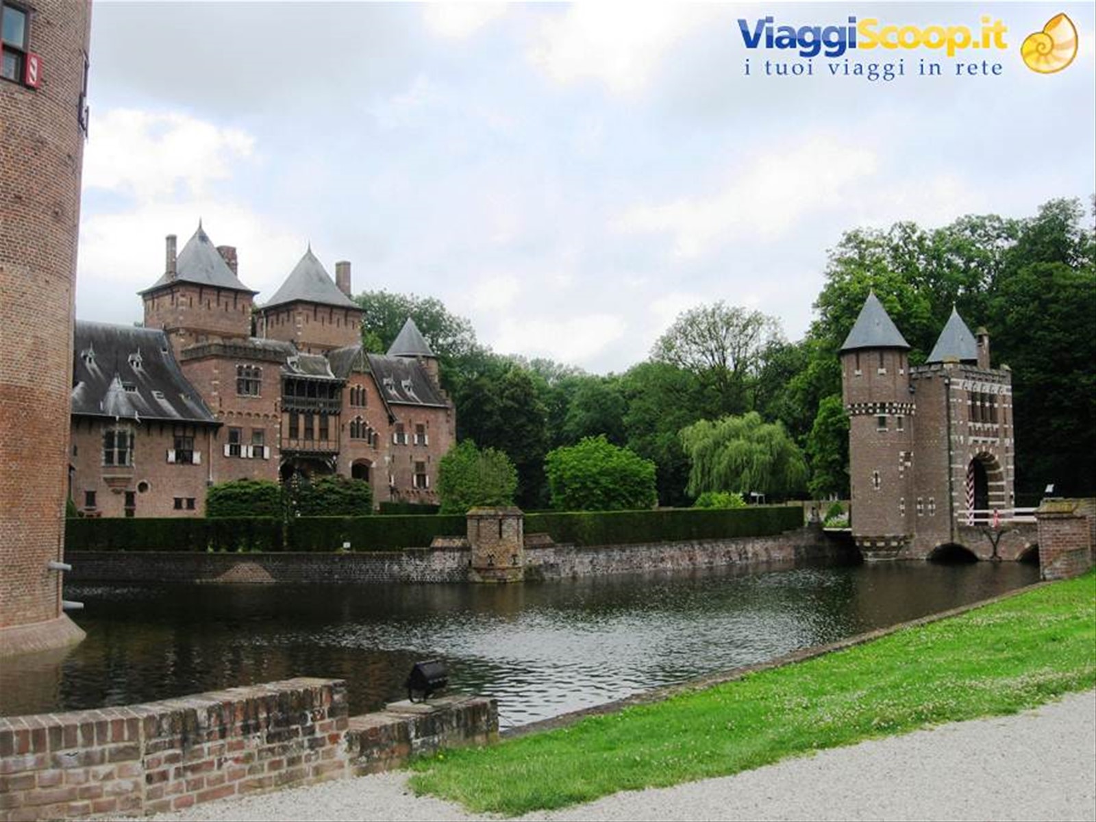 Haar