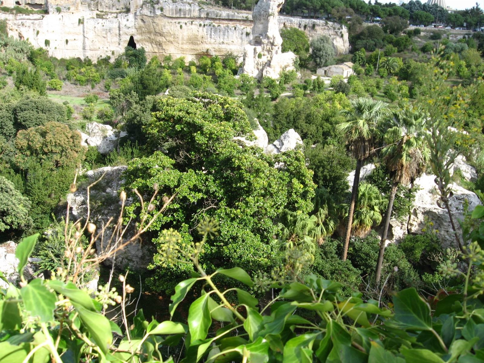 Siracusa : le Latomie