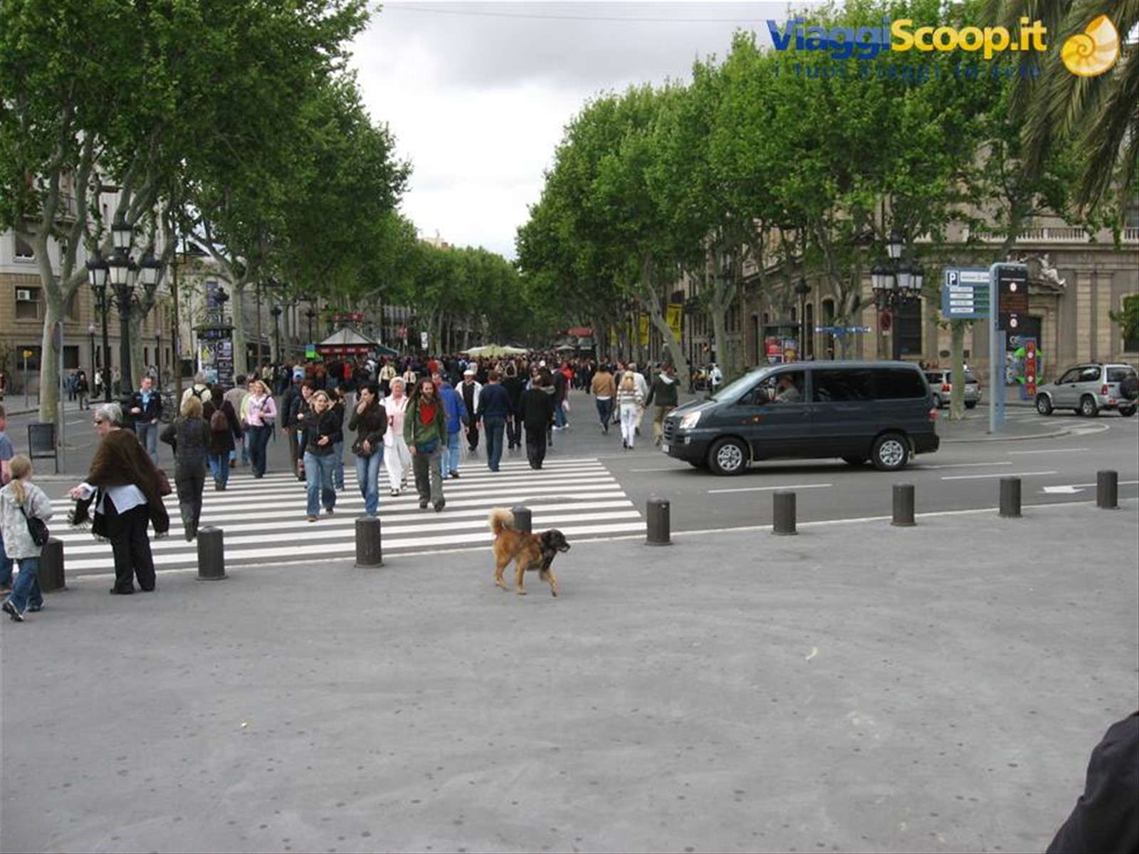 Barcellona :la rambla