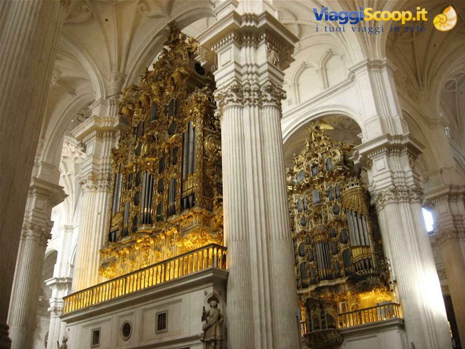 organo cattedrale