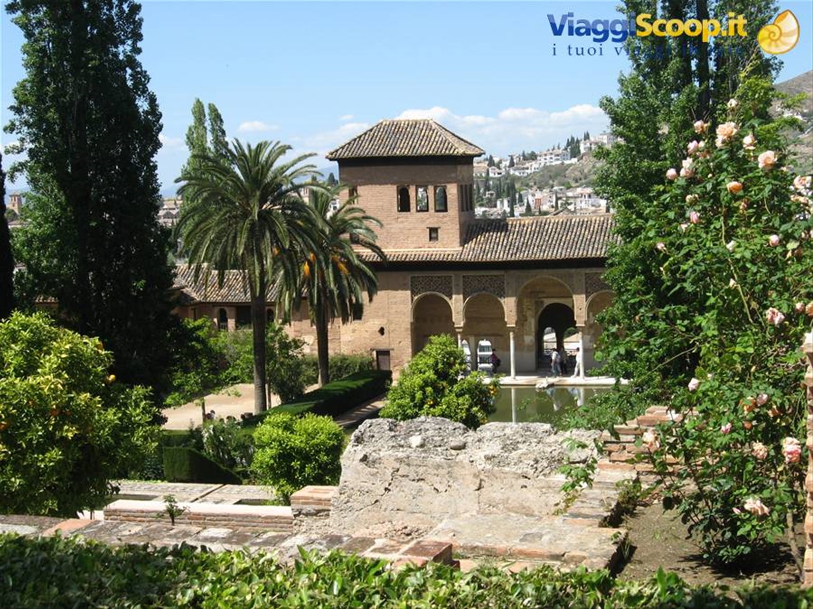 Foto di viaggio in SPAGNA