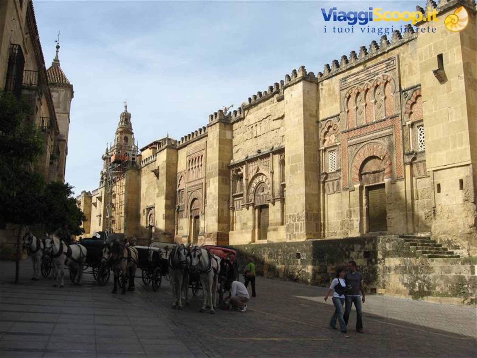 la mezquita
