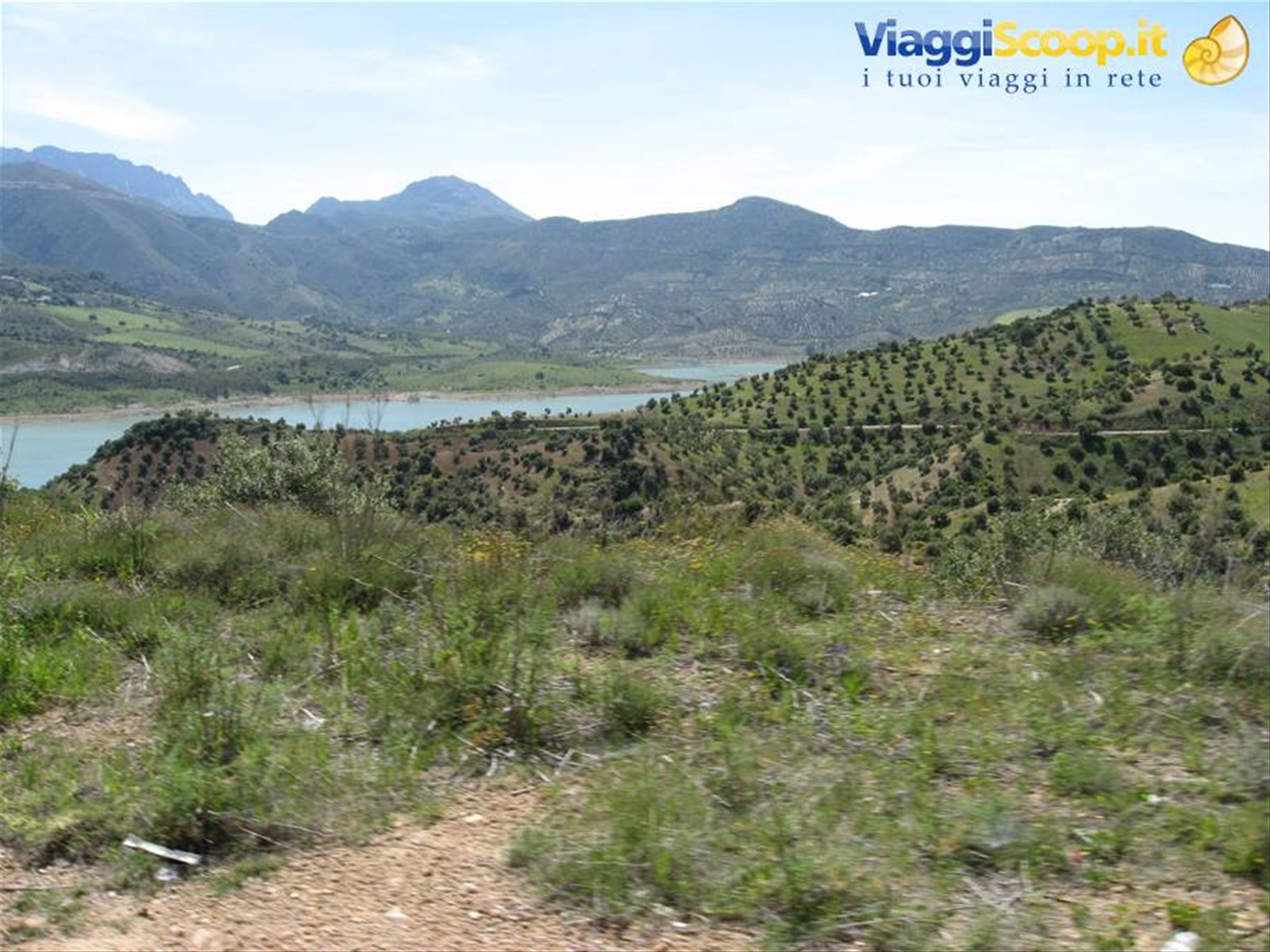Sierra de Ronda