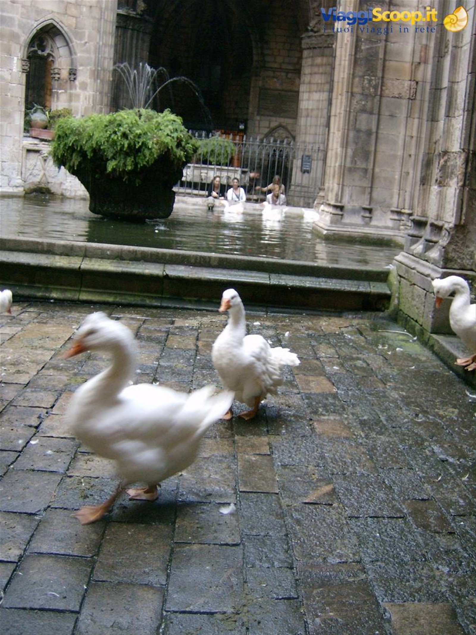 Cattedrale Chiostro