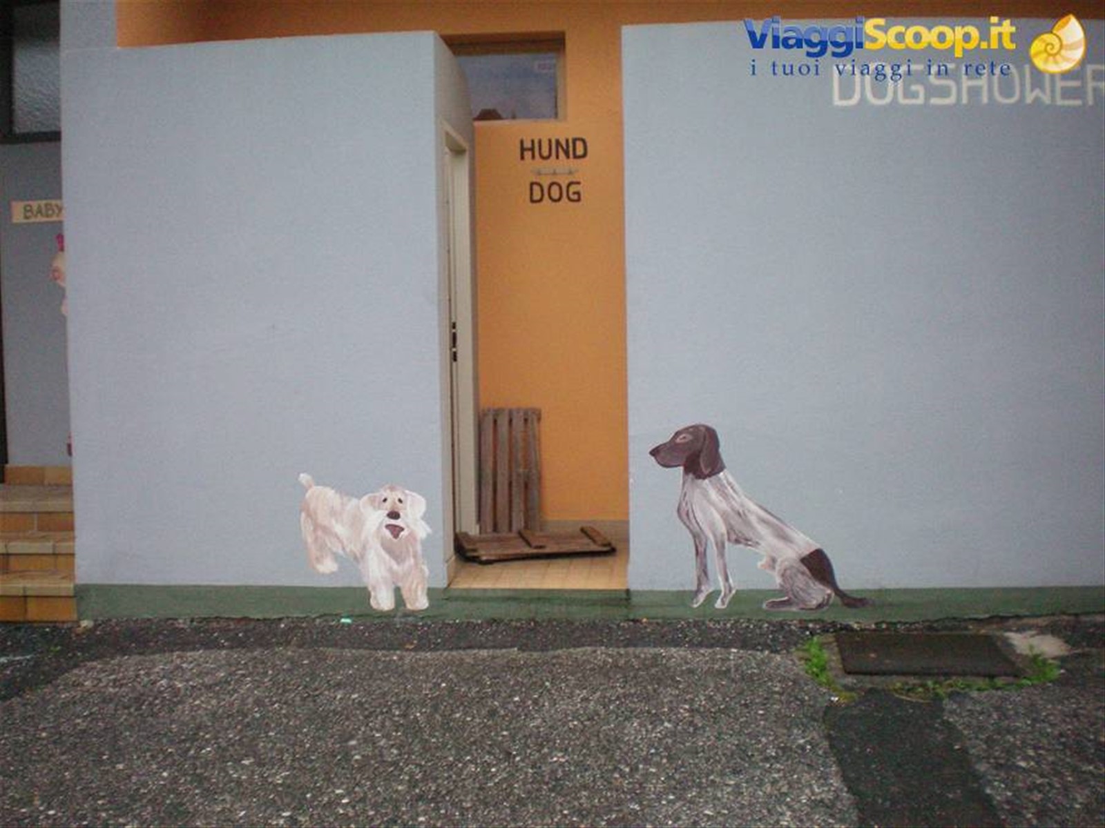 doccia x cani
