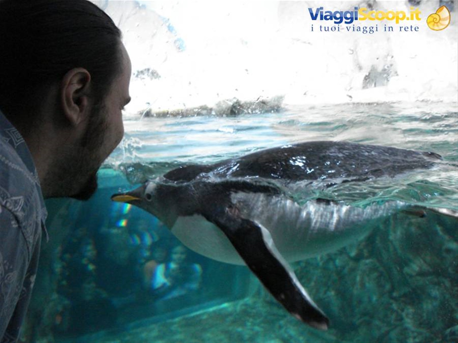 Acquario di Genova