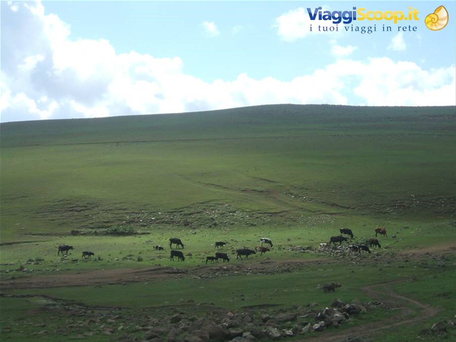 Foto di viaggio in MONGOLIA