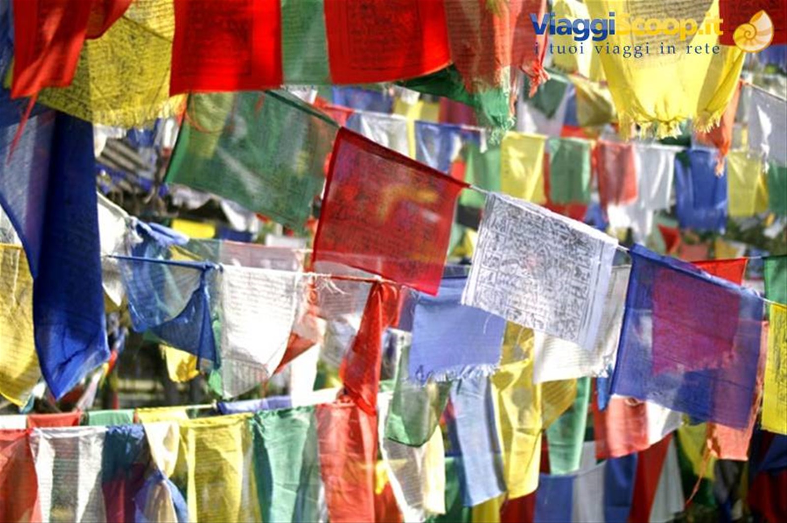 Bandiere di Preghiera Tibetane in Himachal Pradesh