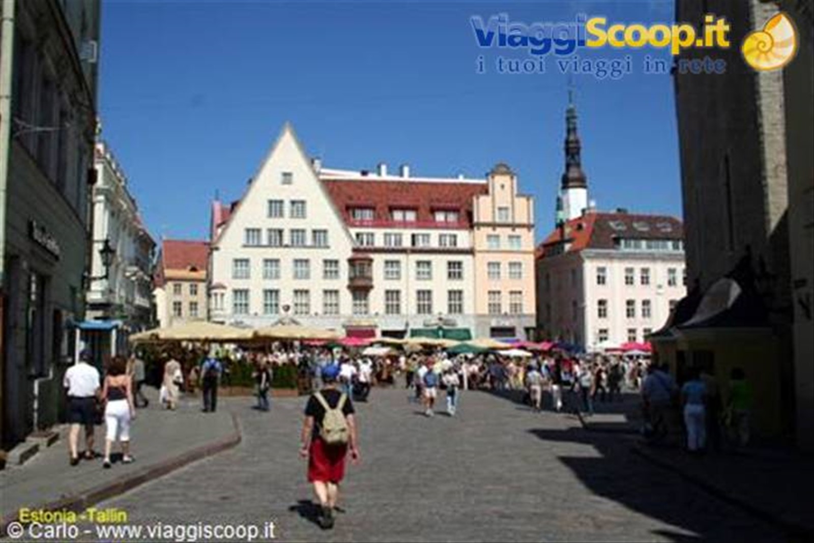 Foto di viaggio in ESTONIA