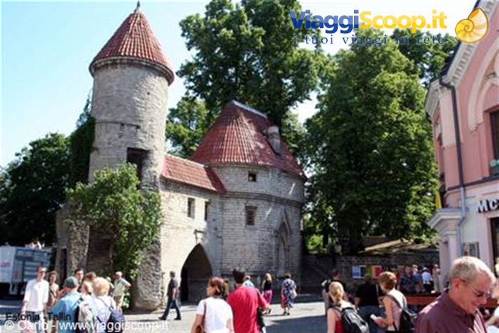 Foto di viaggio in ESTONIA