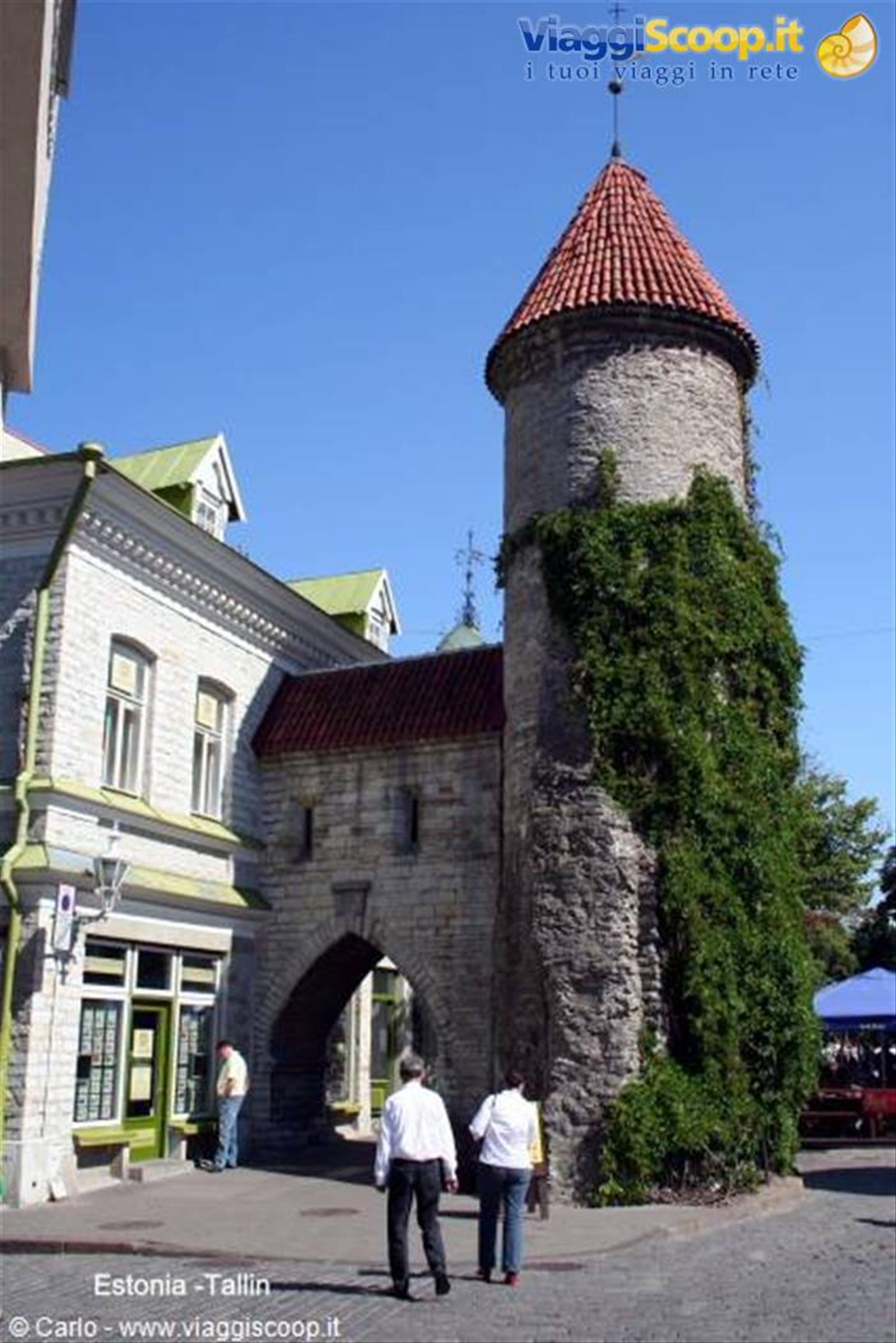 Foto di viaggio in ESTONIA