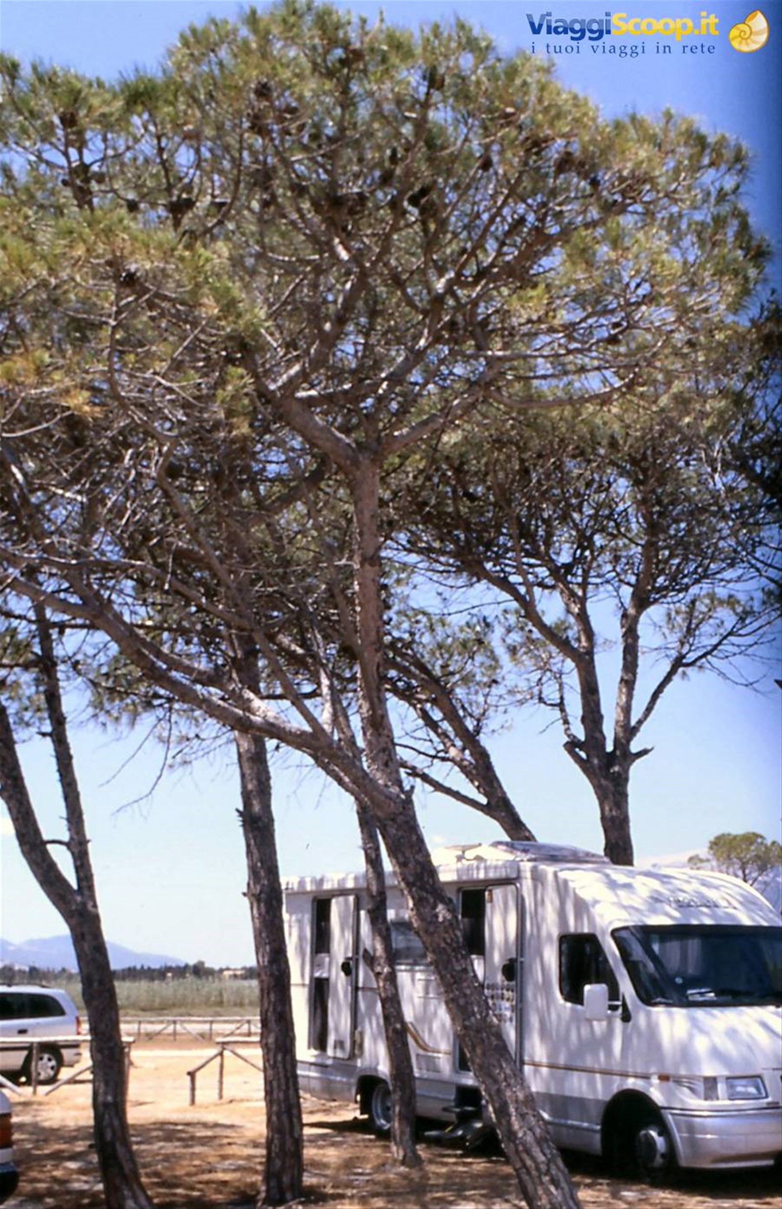 Sardegna