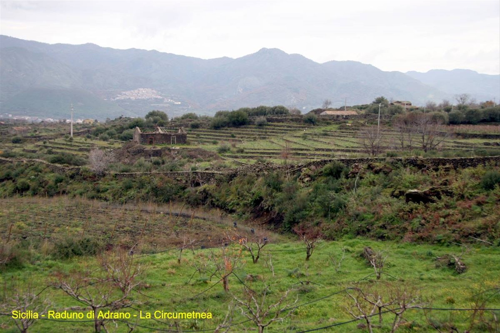 Raduno di Adrano - Randazzo - la Circumetnea