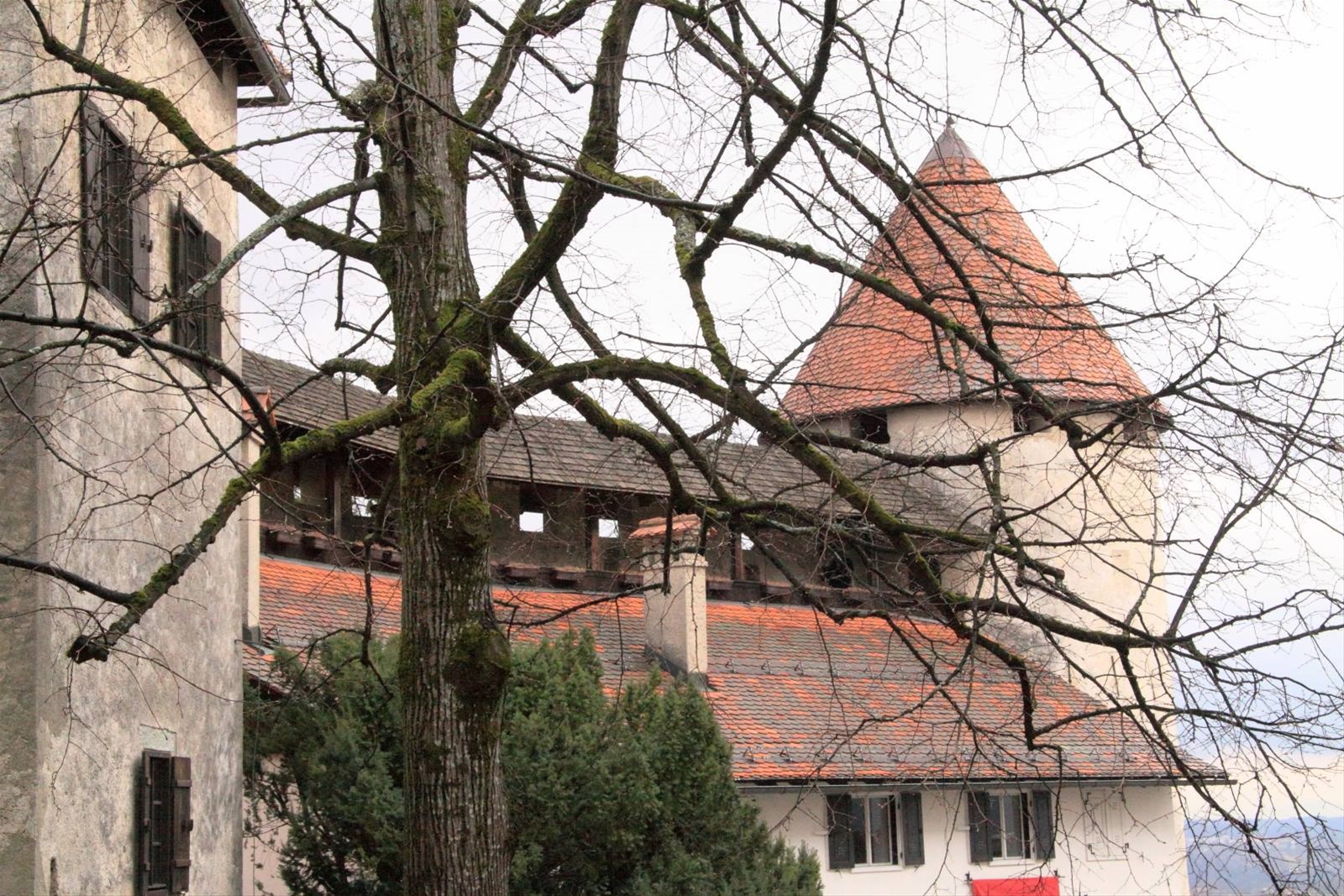 Castello di Bled