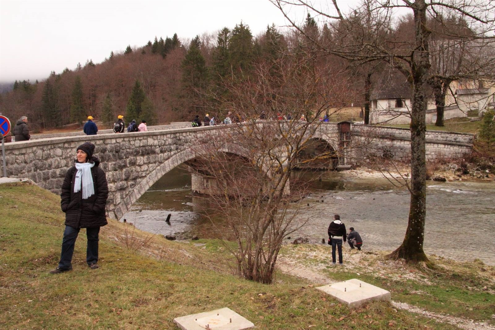 Lago di Bohinj