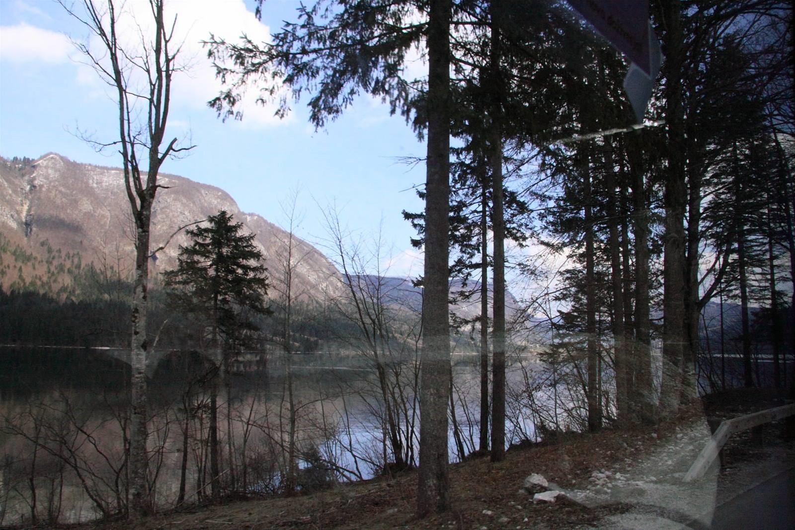Lago di Bohinj