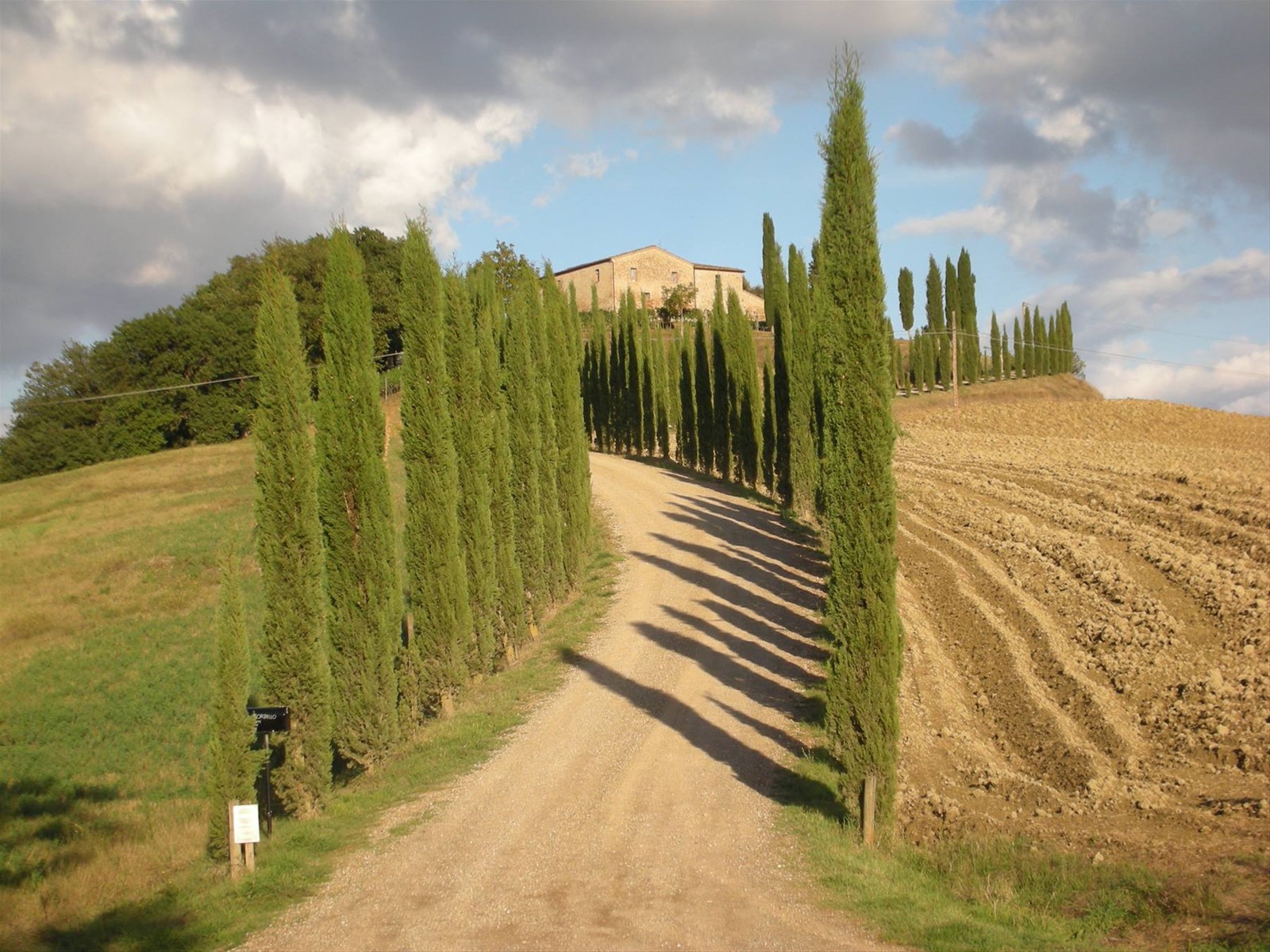 Viaggio trai vigneti