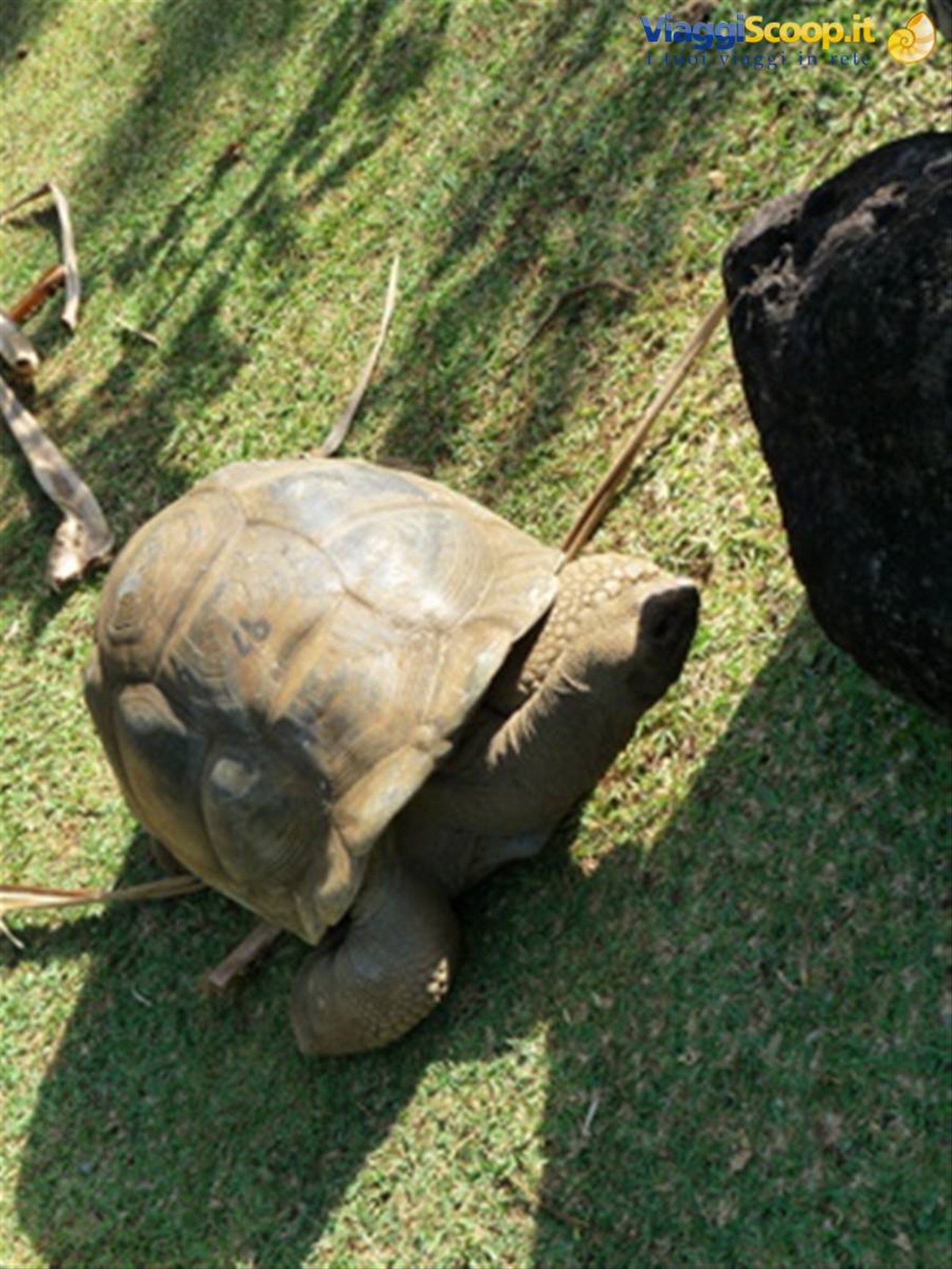 Foto di viaggio in MAURITIUS