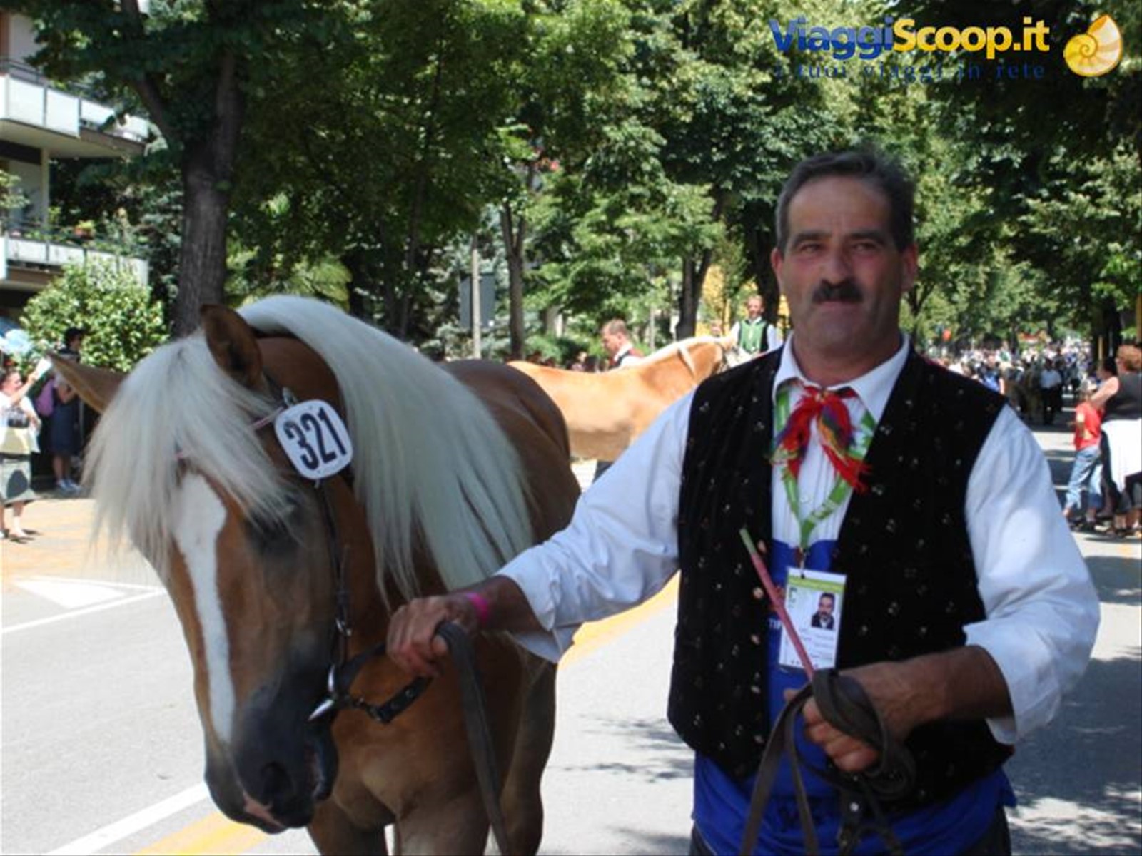 Sfilata per le vie di Merano 11