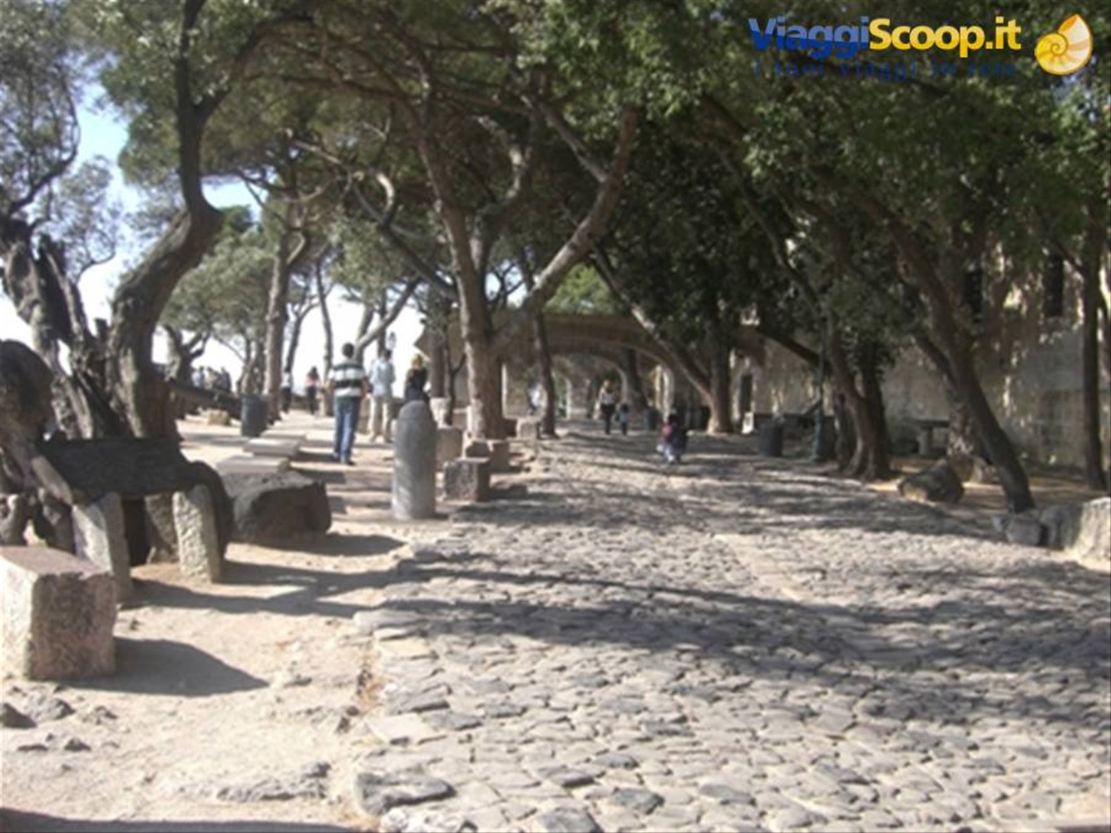 Foto di viaggio in PORTOGALLO